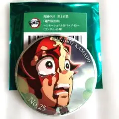 鬼滅の刃　隊士百景　エモーショナル缶バッジ　 竈門炭治郎 12個セット 鬼滅の刃 隊士百景 エモーショナル缶バッジ 竈門炭治郎 - メルカリ