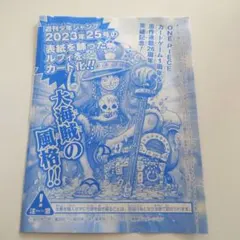 ☆高騰中！未開封☆ワンピースカード ルフィ：週刊少年ジャンプ付録 P