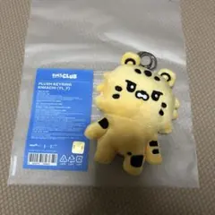 LE SSERAFIM FIMSCLUB チェウォン キムアチ ぬいぐるみ - メルカリ