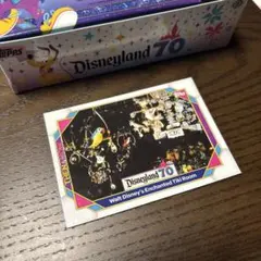 2025 Topps ディズニー Grandmother Willow シリ - メルカリ