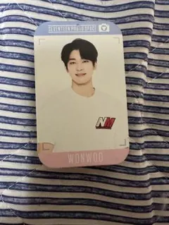 SEVENTEEN フォトスペース　ウォヌ　ミントタブレット