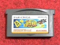 Item thumbnail for item 3ea907f3-0ed0-4b68-8e8d-a7f674c8350f