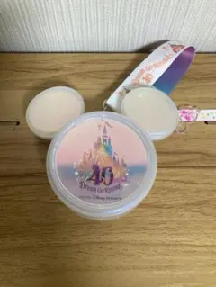 ディズニー 40周年 ドリームゴーラウンド スーベニアスナックケース オーロラ