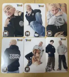 Y＆U トレーディングカード セット