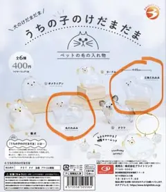 犬のけだまだま　うちの子のけだまだま　たれ耳
