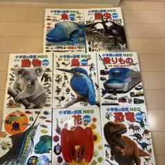 うさぎさん専用　小学校の図鑑 NEO セット 5冊 DVD付き うさぎさん専用 小学校の図鑑 NEO セット 5冊 DVD付き - メルカリ