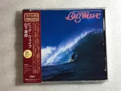 2026年最新】山下達郎 big waveの人気アイテム - メルカリ