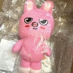 チャンビン ぬいぐるみバッグ ソウル グッズ Dwaekki トエッキ run チャンビン ぬいぐるみバッグ ソウル Dwaekki トエッキ run it - メルカリ