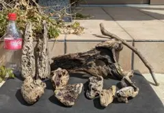 Item thumbnail for item 549d853b-2fac-4b2f-b728-d69a5f37712e