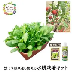 エコゲリラ　水耕栽培 キット 菜園 キット おうちのやさい プランターのサムネイル