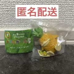 トリピカルズみっくす パイナップル