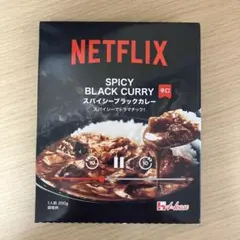 Netflix SPICY BLACK CURRY ハウス食品 レトルトカレーのサムネイル