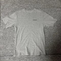 patagonia Responsibili-Tee グレー Tシャツ