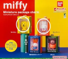ミッフィー　ミニチュアパッケージチャーム　２点セット