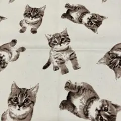 あずきまめ★値下げコメお返事しません様 リクエスト 3点 まとめ商品