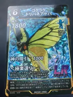 2026年最新】トリバネアゲハの人気アイテム - メルカリ