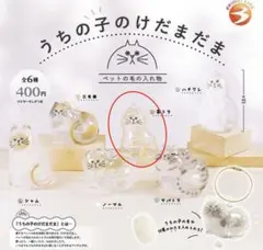 【正規品】うちの子のけだまだま 猫 茶トラ
