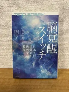 シューゲイザー・ディスク・ガイド revised edition - メルカリ