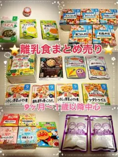 ないふく薬さん専用　未使用　離乳食まとめ売り ベビーフード　9ヶ月〜1歳　29点