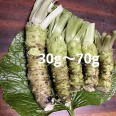 生わさび（不揃い）200gのサムネイル