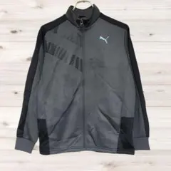 A1425 PUMA ブルゾン ジャンパー アウター キッズ服(150) グレー