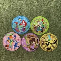 ディズニープリンセス刺繍ピンバッジ5個セット