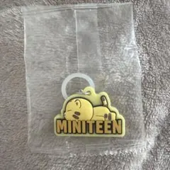 MINITEEN SEVENTEEN ホシ キーホルダー