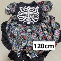 Item thumbnail for item 1470c284-3853-4d3a-bbef-e7efa56aa949