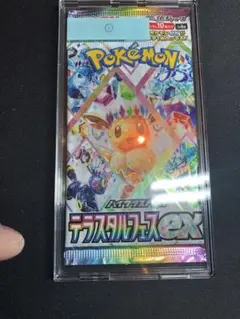 ポケモンカードゲーム テラスタルフェスex保存用