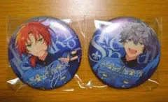 あんスタ 缶バッジ 月永レオ 瀬名泉