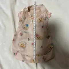 トイプードル辛い犬服　XS kalina カリーナのサムネイル