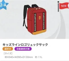 名古屋グランパス xMIZUNO オリジナルリュック 4/5（金）今週のグッズ担当イチオシアイテム！｜ニュース｜名古屋