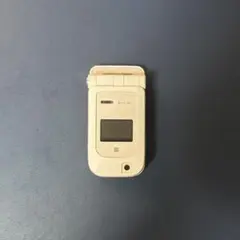 2026年最新】P253Iの人気アイテム - メルカリ
