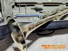 2025年最新】トロンボーン ケース bachの人気アイテム - メルカリ