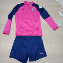 2020年 セレッソ大阪　支給トレーニングウェア上下セット