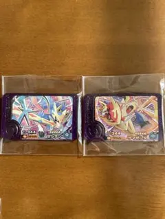 ポケモンフレンダ ベストタッグ3弾 ザマゼンタ ザシアンセット