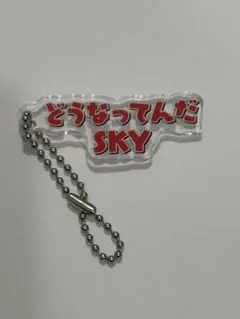 【カラフルピーチ】じゃぱぱ　テロップキーホルダー