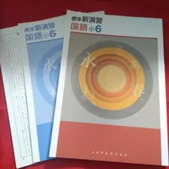 新品未使用 標準新演習 小6 理社セット 2冊セット - メルカリ