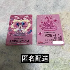 ミニー　パルパルーザ　フリーきっぷ　リゾラ　ディズニー　リゾートライン