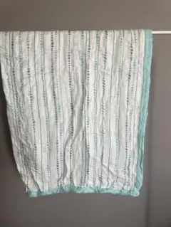 aden+anais エイデンアンドアネイ　おくるみ　バンブーモスリン