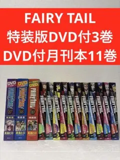 2026年最新】月刊フェアリーテイルマガジンの人気アイテム - メルカリ