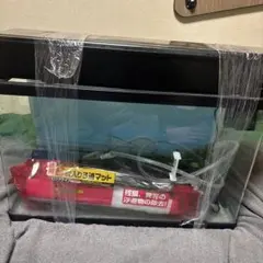 【豪華セット】60cm水槽 GEX デュアルクリーン600 エアーポンプ 札幌市