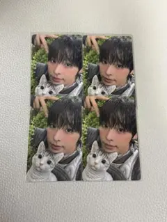 NCTWISH color リク トレカ