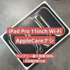 iPad Pro M5 11インチ 256GB Wi-Fi