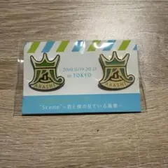 新品未開封 嵐 君と僕の見ている風景 ピンバッジ 東京限定のサムネイル