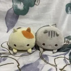 もちふわ！ころころにゃんこ