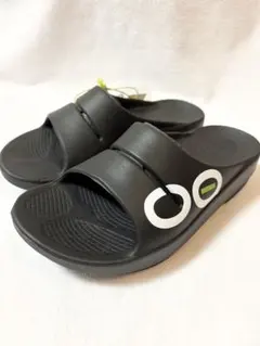 Item thumbnail for item 608990d5-2c10-4855-8865-c94520d324c0