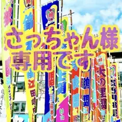 さっちゃん様 専用です✩.*˚