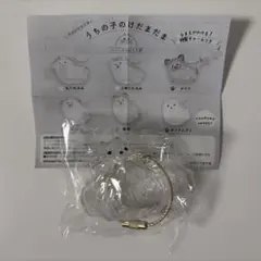 うちの子のけだまだま　ポメラニアン