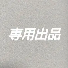 ヒロさん様専用出品